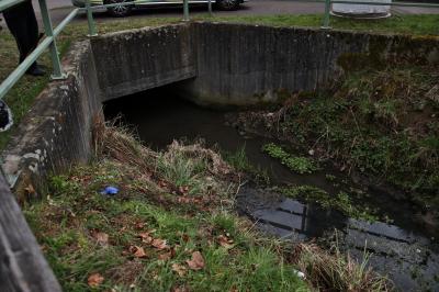 Remshalden: Frau stuerzt in Bach - Feuerwehr  und Rettungssdienst im Einsatz